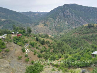 feke bağdatlı mahallesi