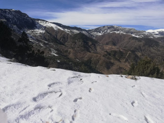 Bağdatlı köyü karşı